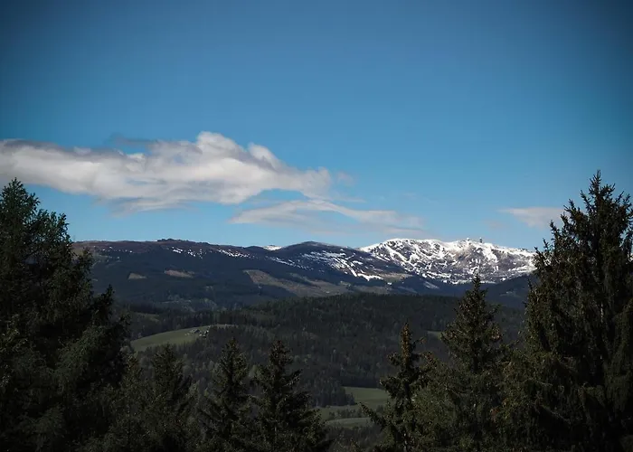 Koralpenchalet بيت للعطل *